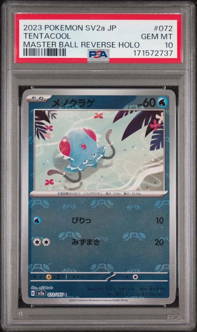 Tentacool