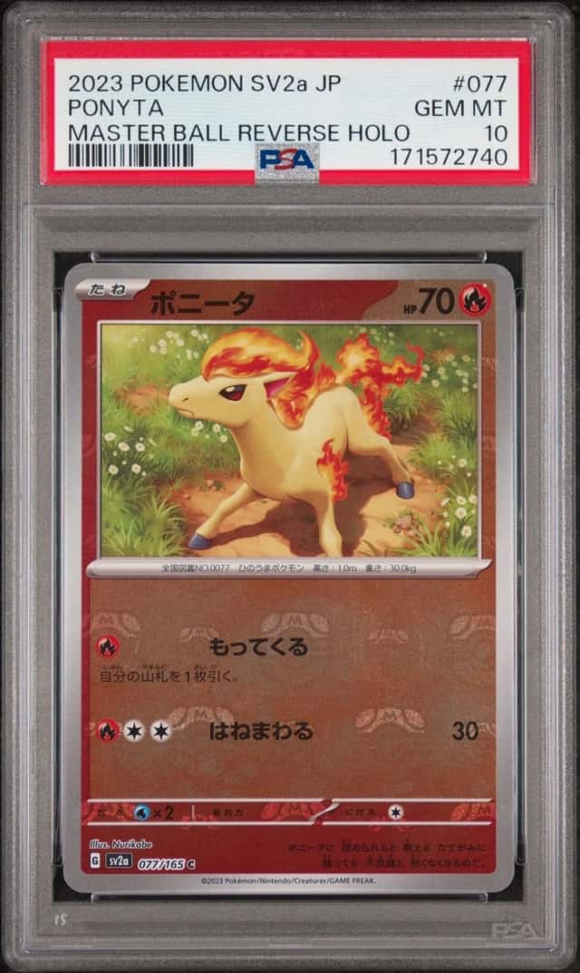 Ponyta