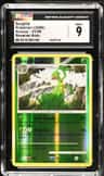 Sceptile