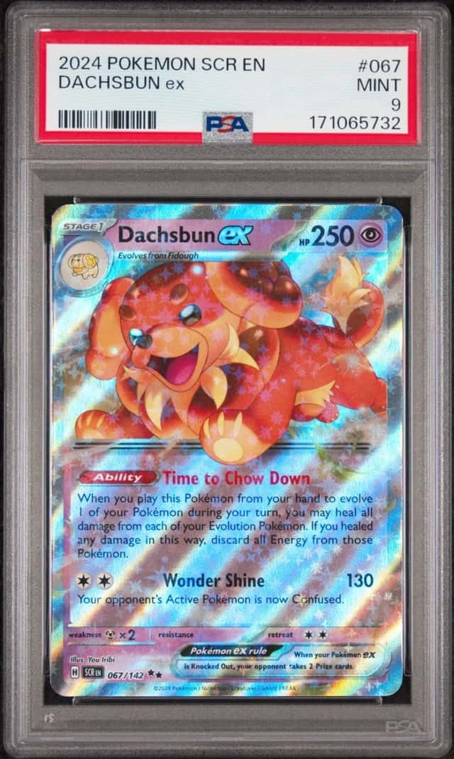 DACHSBUN ex