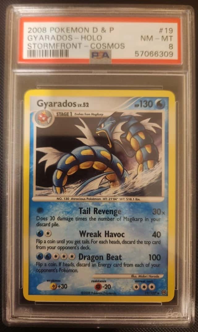 Gyarados