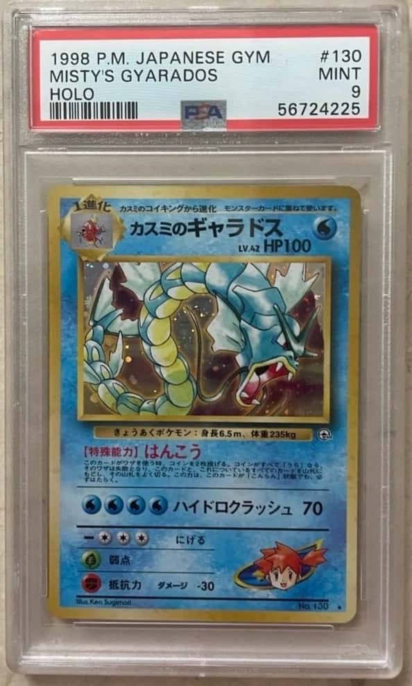 Misty's Gyarados