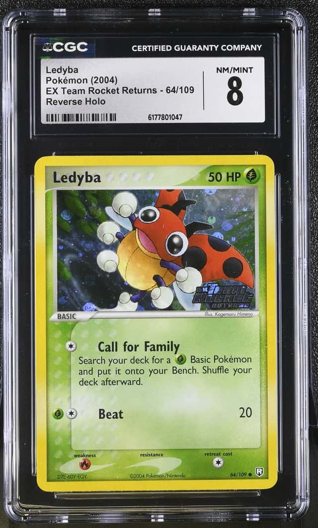 Ledyba