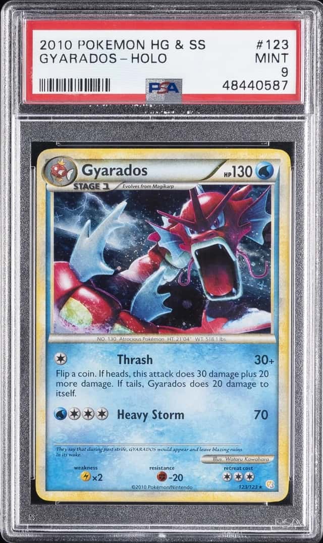 Gyarados