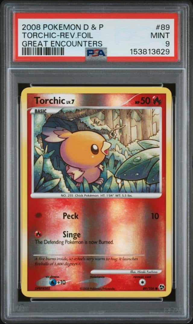 Torchic