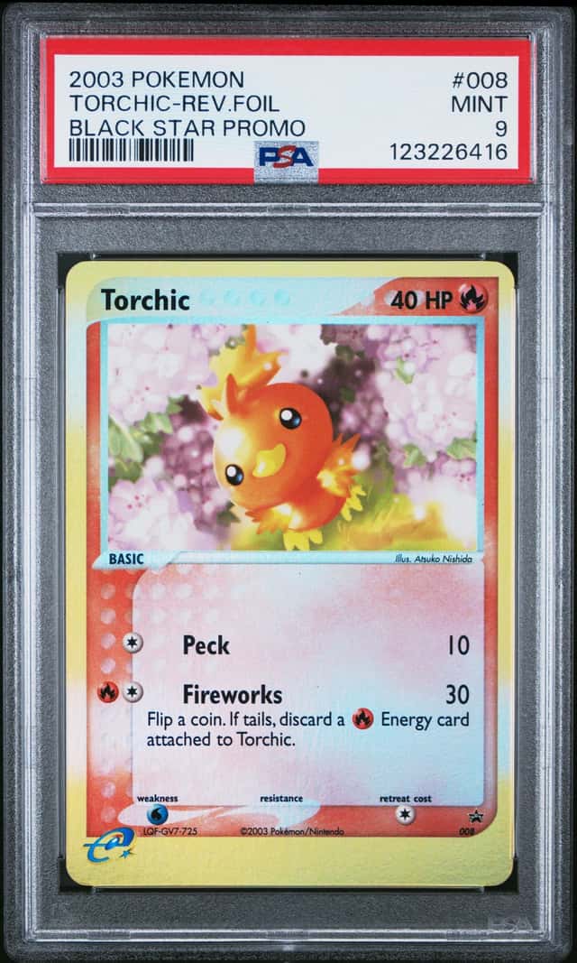 Torchic