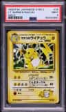 Lt. Surge'S Raichu