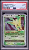 Leafeon Lv X