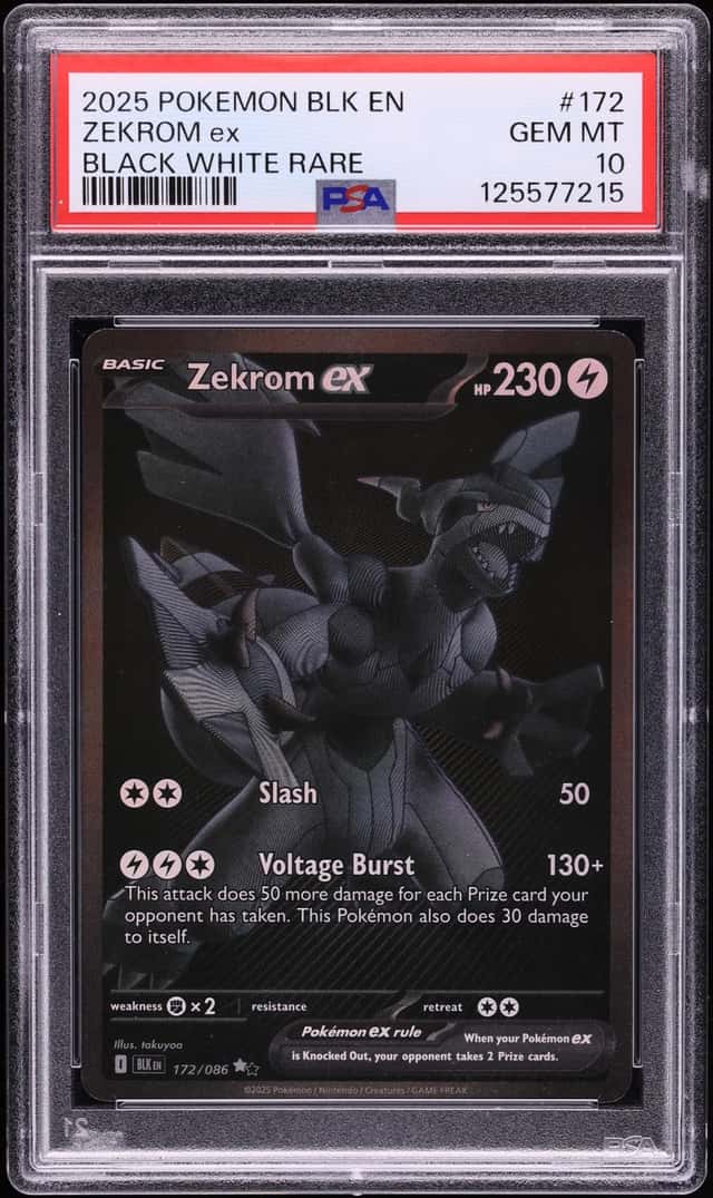 ZEKROM ex