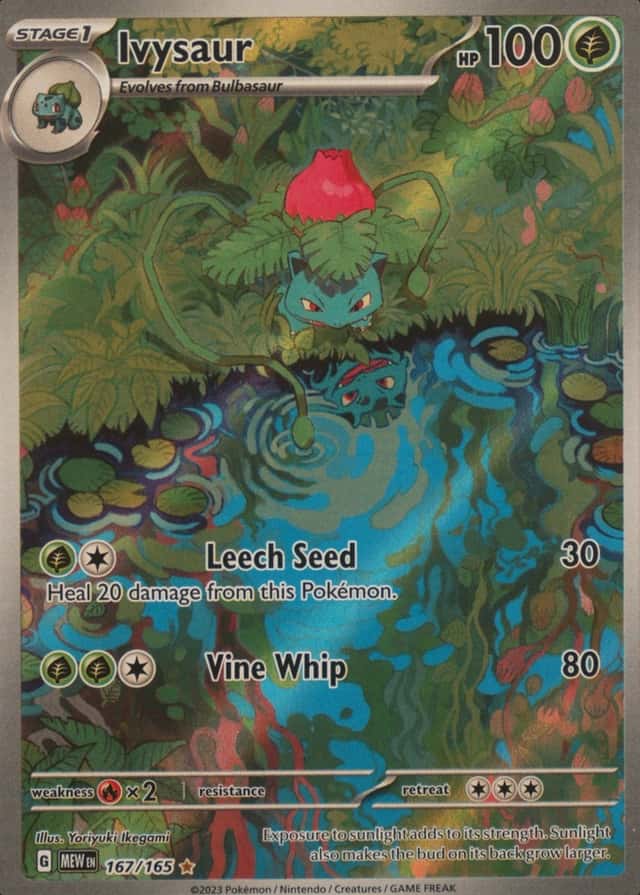 Base / no variant