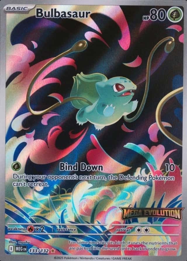 Box Topper
