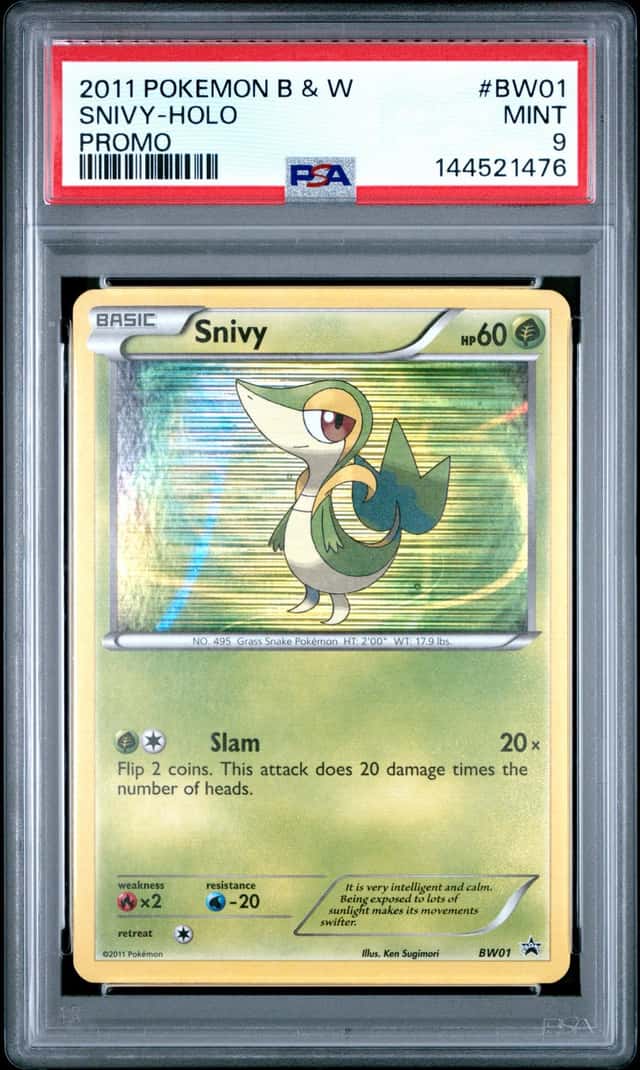Snivy