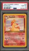 Rapidash