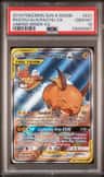 Raichu & Alolan Raichu Gx