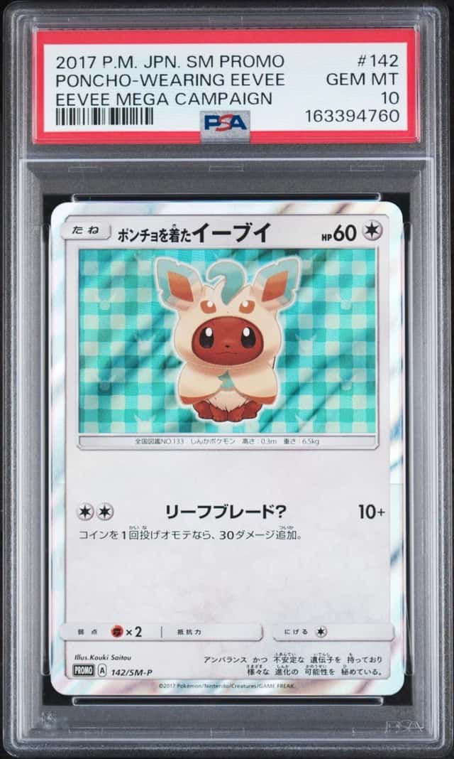 Poncho-Wearing Eevee