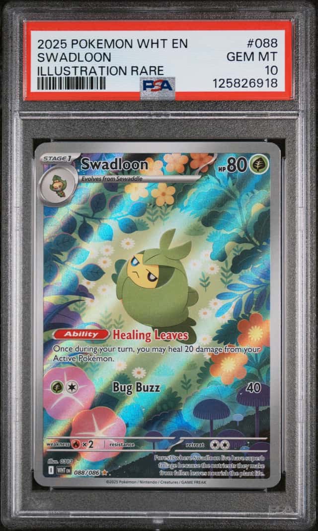 Swadloon