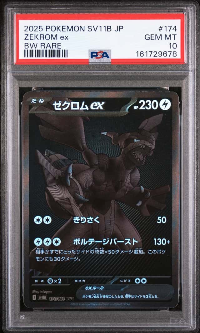 ZEKROM ex