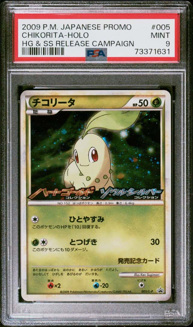 Chikorita
