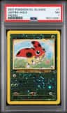 Ledyba