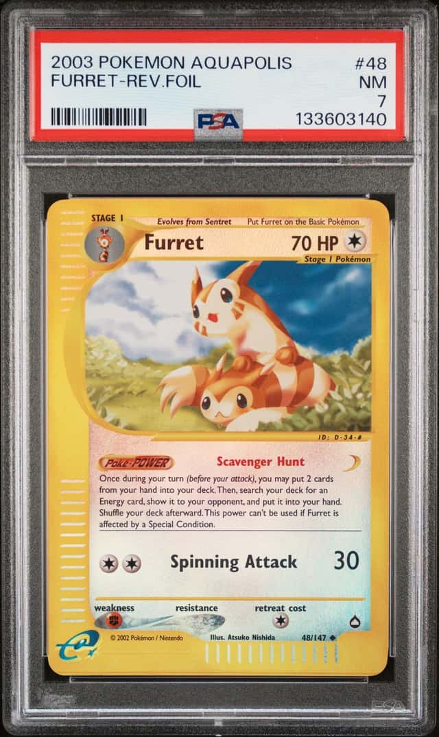 Furret