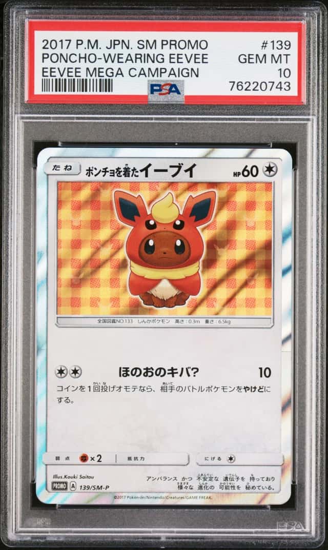 Poncho-Wearing Eevee
