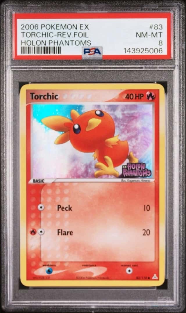 Torchic