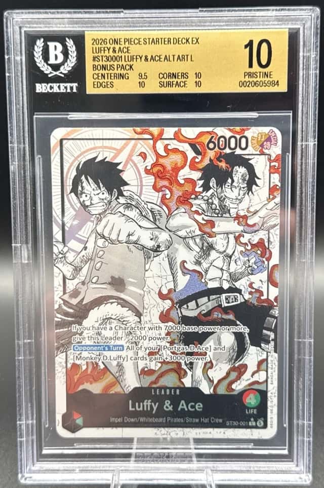 Luffy & Ace