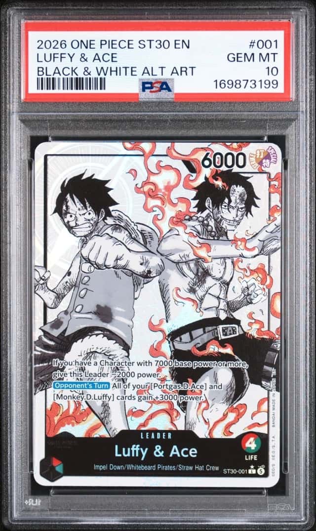 Luffy & Ace
