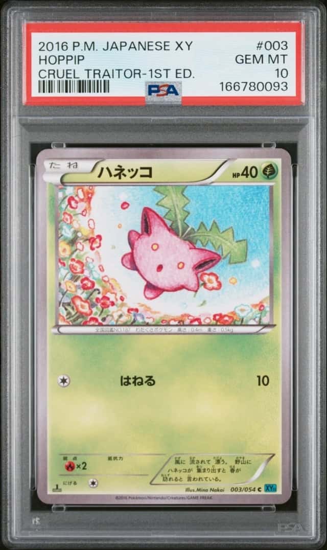 HOPPIP