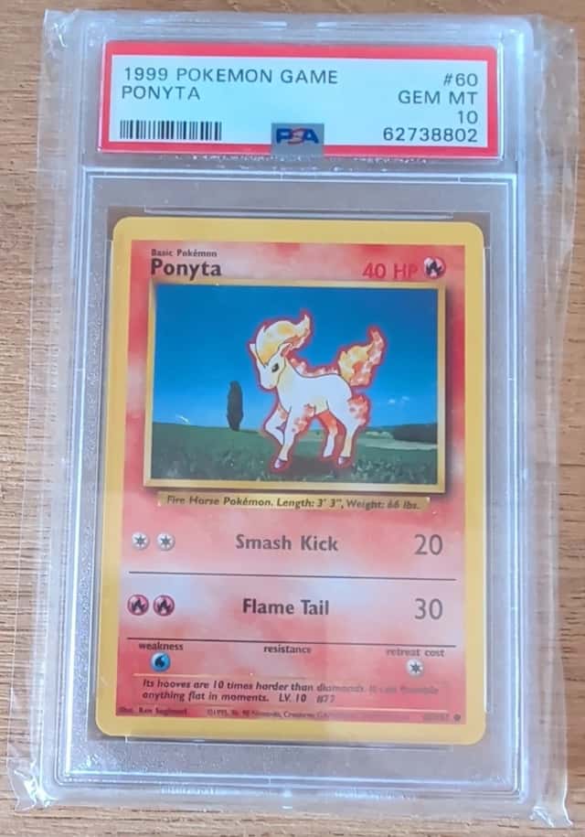 Ponyta
