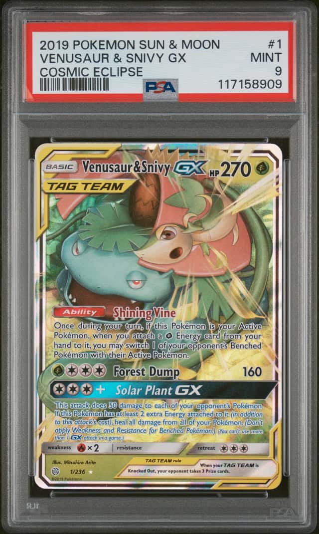 Venusaur & Snivy GX