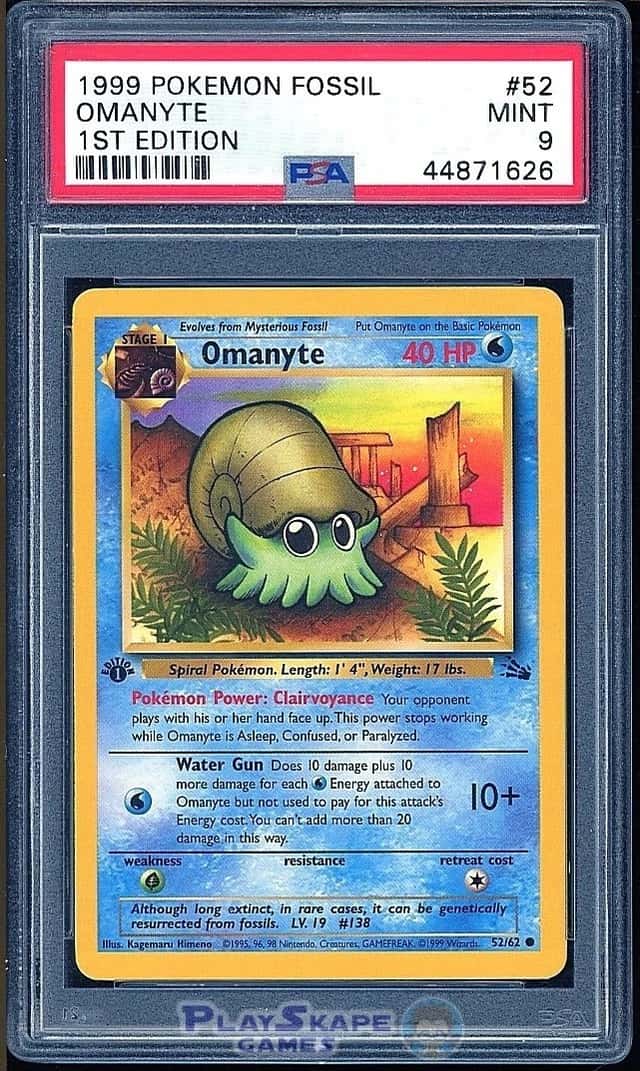 Omanyte