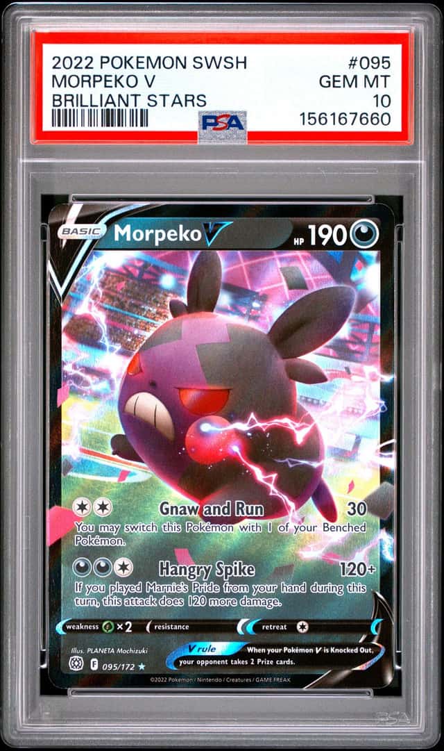 Morpeko V