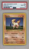 Ponyta
