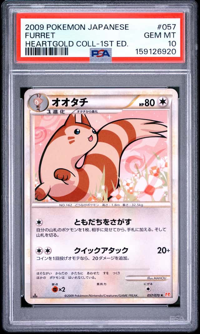 Furret