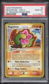 Meganium δ