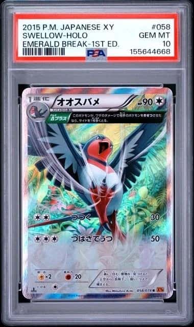 Swellow