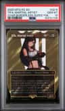 Tifa, Martial Artist