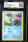 Mudkip