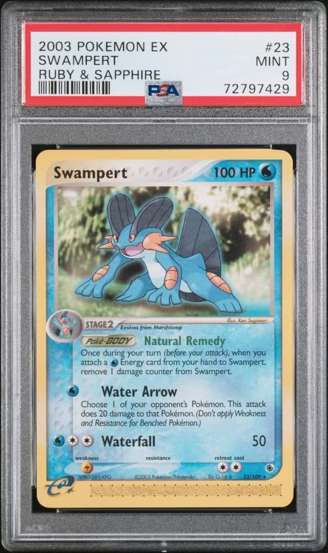 Swampert