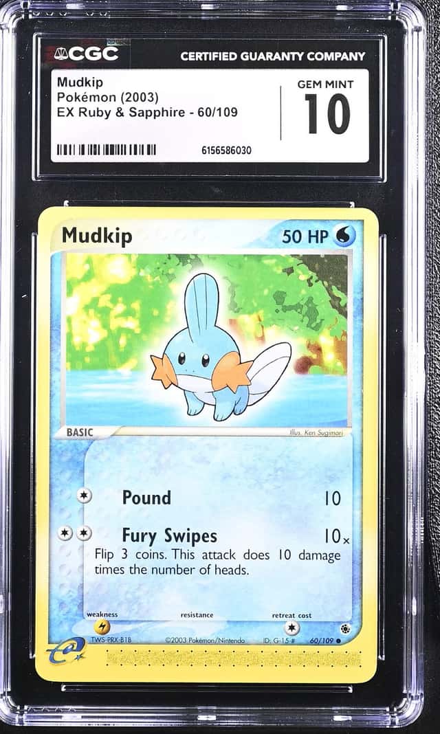 Mudkip