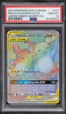Raichu & Alolan Raichu Gx