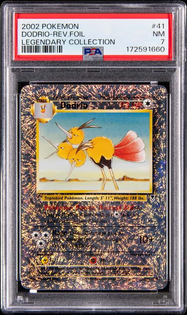 Dodrio