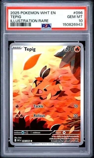 Tepig