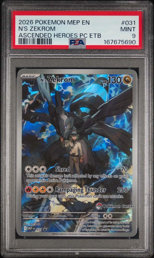 N's Zekrom