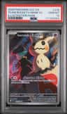 Team Rocket'S Mimikyu