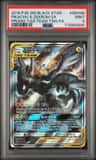 Pikachu & Zekrom Gx