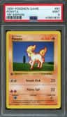 Ponyta