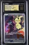 Team Rocket'S Mimikyu