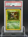 Pinsir